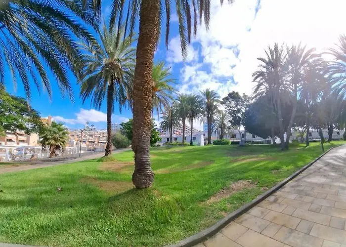 Tenerife Olympia Hotel-playa De Americas. Balcony, Sea View & Pool Плая-де-лас-Америкас